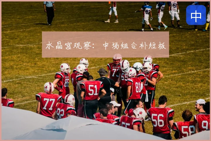 水晶宫观察：中场组合补短板